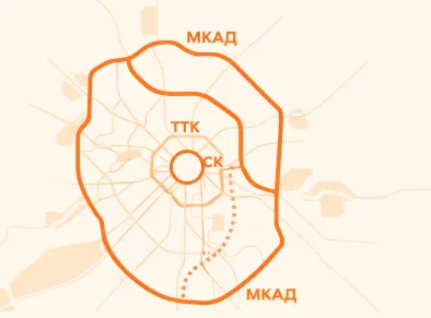 Что такое РНИС